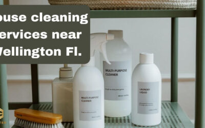 Wellington house cleaning Services