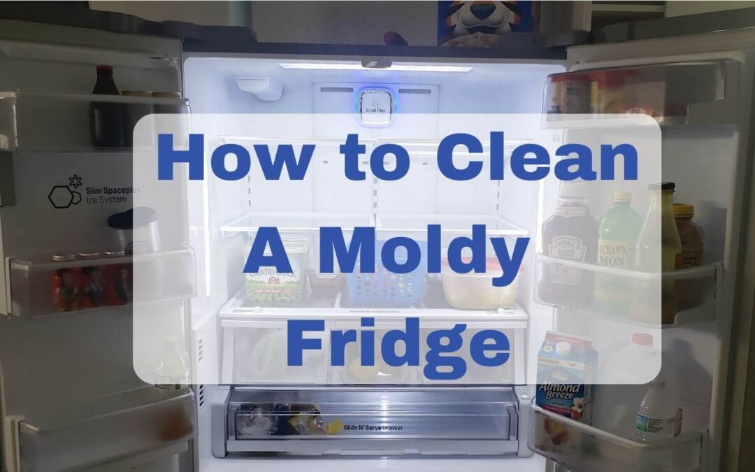 How to clean a moldy fridge