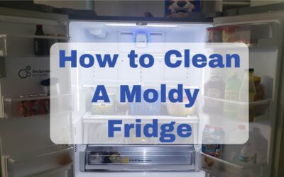 The best way to clean a moldy fridge