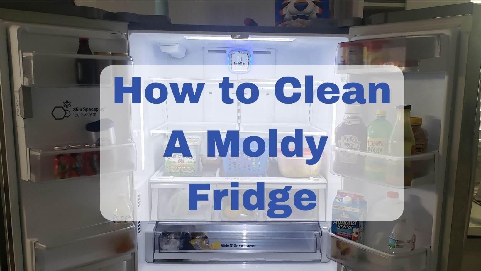 How to clean a moldy fridge