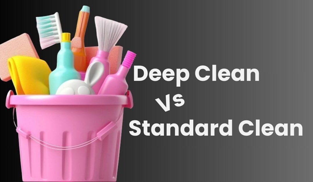 Difference between deep clean and regular clean