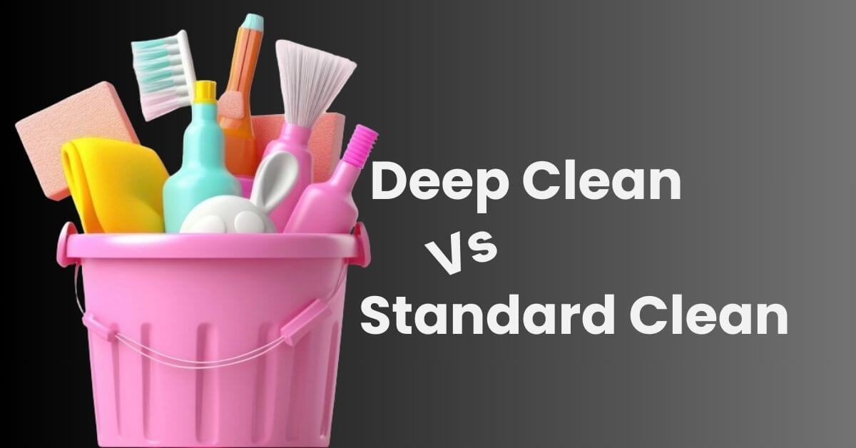 Difference between deep clean and regular clean