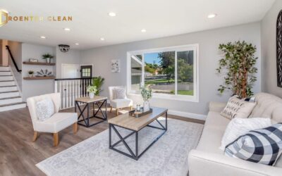 Home organizing and cleaning services in Palm Beach