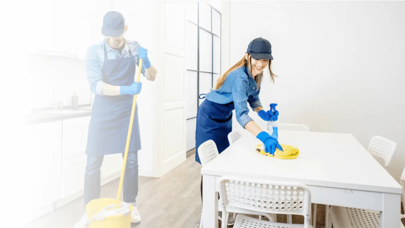 Roenterclean_standard-cleaning