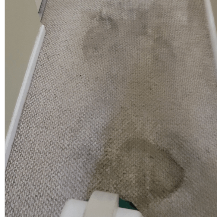 move out Carpet deep cleaning 