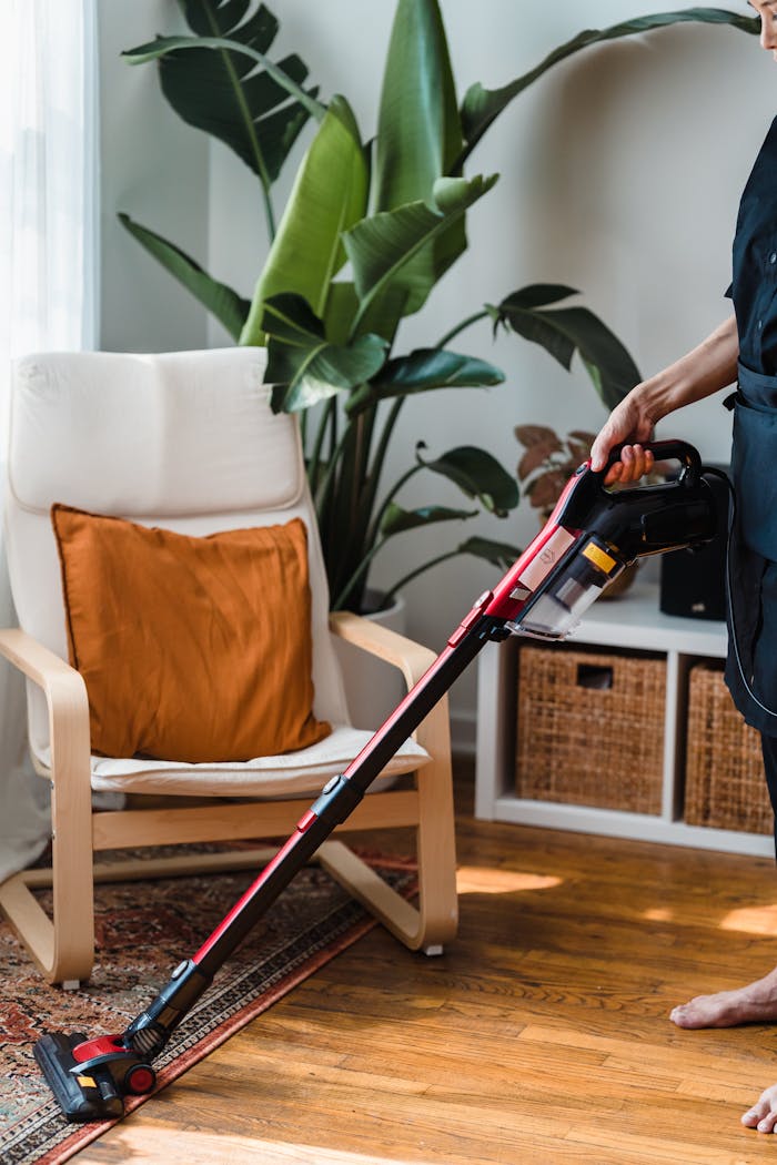 Person vacuuming a living room with wooden floors and houseplants, enhancing a neat space.